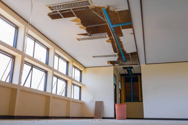 Best Water damage restoration near me  in Ajo, AZ