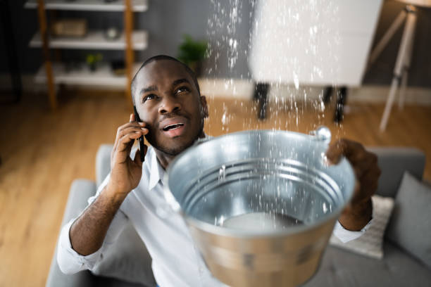 Best Emergency water damage restoration  in Ajo, AZ