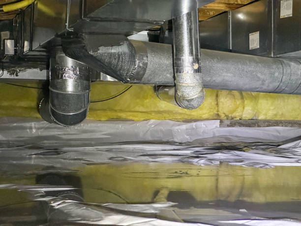 Best Water damage contractors near me  in Ajo, AZ